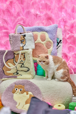 Home Page - EMO TUFT